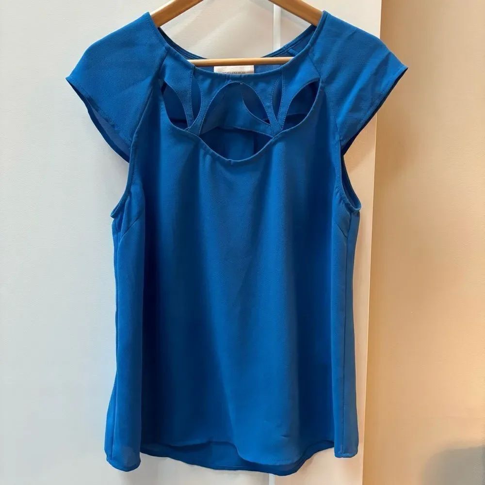 Skies are Blue blouse women’s size M